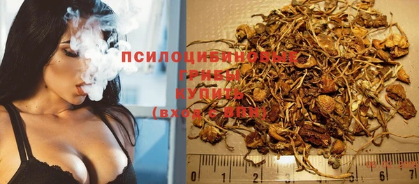 МДПВ Алзамай